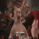Scooby-doo(Movie 2002) Mov 25
