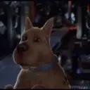 Scooby-doo(Movie 2002) Mov 28