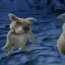 Scooby-doo(Movie 2002) Mov 9