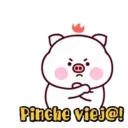 Cute little fat pig mov 19
