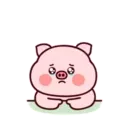 Cute little fat pig mov 11
