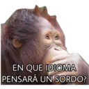 El Mono Sabio 8
