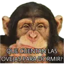El Mono Sabio 28