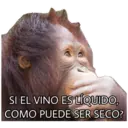 El Mono Sabio 29