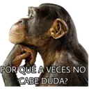 El Mono Sabio 19