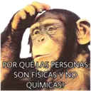 El Mono Sabio 14
