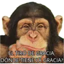 El Mono Sabio 11