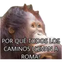 El Mono Sabio 7