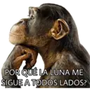 El Mono Sabio 2