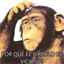 El Mono Sabio 27