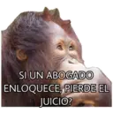 El Mono Sabio 16