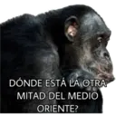 El Mono Sabio 10