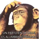 El Mono Sabio 30