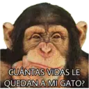 El Mono Sabio 5