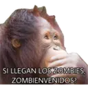 El Mono Sabio 26