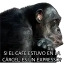 El Mono Sabio 25