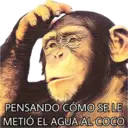 El Mono Sabio 1