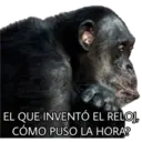 El Mono Sabio 17