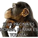 El Mono Sabio 12