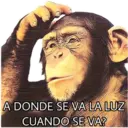 El Mono Sabio 9