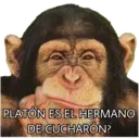 El Mono Sabio 18