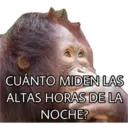 El Mono Sabio 3