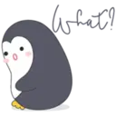 Lovely penguins 19