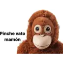 Pinche vato
mamón