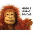 MMDAS
PURAS
MMDAS