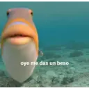 oye me das un beso