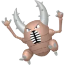 美