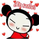 Pucca 24