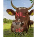 0561
009 308 3040
227
00381
Nil
mitA
OLI
2222
FAR
8304