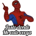 SPIDERMAN 19