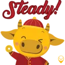 Steady! O