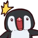 Pingüino & Mapache 15