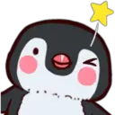 Pingüino & Mapache 21