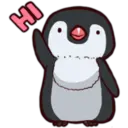 Pingüino & Mapache 19