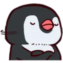Pingüino & Mapache 13