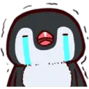 Pingüino & Mapache 18