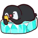 Pingüino & Mapache 25