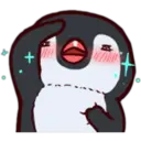 Pingüino & Mapache 2