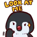 Pingüino & Mapache 30