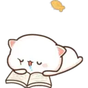 1 MoChI CaT (clásica) 8
