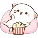 1 MoChI CaT (clásica) 23