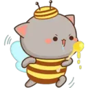 1 MoChI CaT (clásica) 9