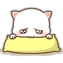 2 MoChI CaT (clásica) 25