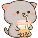 2 MoChI CaT (clásica) 24