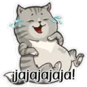 gatitos amorosos 15