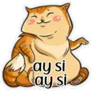 gatitos amorosos 16